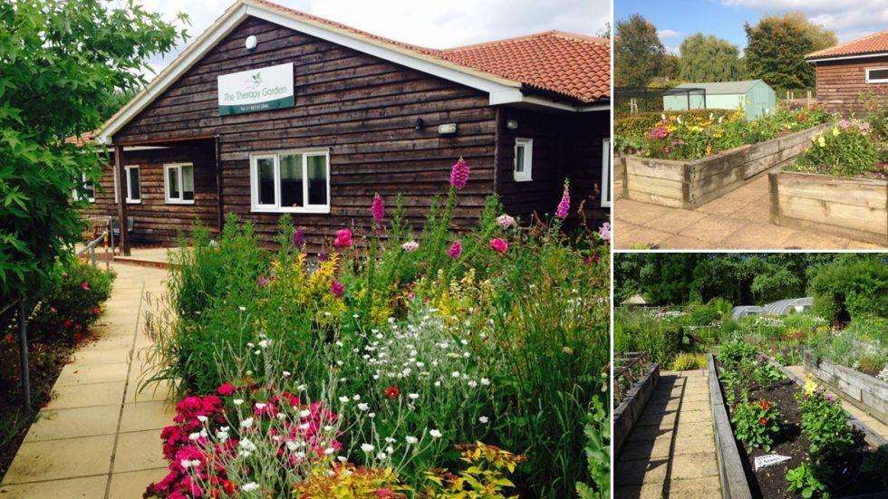 Plants, shrubs, flowers, compost, top soil, garden tools for LD and Child/Adolescent mental health therapy garden image